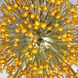Круглая флористическая бра в виде цветка Wb 5064 SN