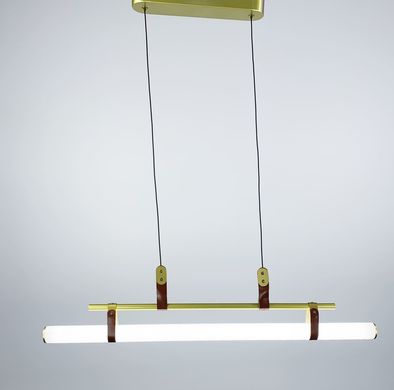 Підвісний світлодіодний світильник у видовженій формі AA 234 GD