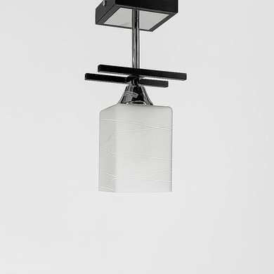 Потолочный светильник DUO LINE в черном корпусе на 1 плафон 50611/1