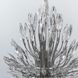 Кришталева срібна люстра репліка Lily Buds на 9 ламп MD 8058 S Satin