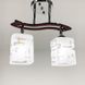 Потолочный светильник в серебряном корпусе на 2 плафона 6032/2 CR